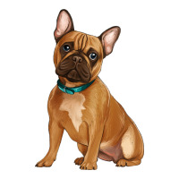 french bulldog | Teevron