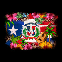Dominican Republic And Puerto Rico Flag Premium Tee | Teevron