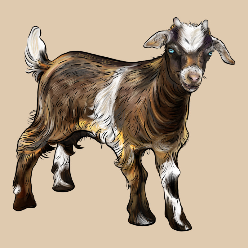 Baby Tennessee Fainting Goat Heavyweight Sweatshirt by LillyAllenDesigns | Teevron