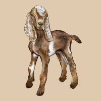 Baby Nubian Goat Heavyweight Sweatshirt | Teevron