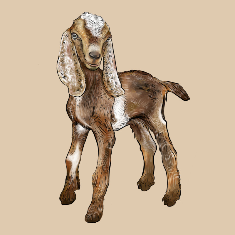 Baby Nubian Goat Heavyweight Sweatshirt by LillyAllenDesigns | Teevron
