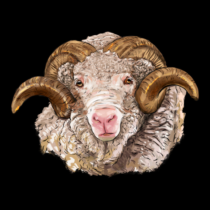 Merino Wool Ram Premium Sweatshirt by BarkalooDesign | Teevron