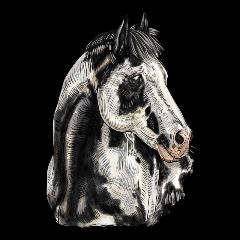 Paint Horse Heavyweight Sweatshirt by LillyAllenDesigns | Teevron