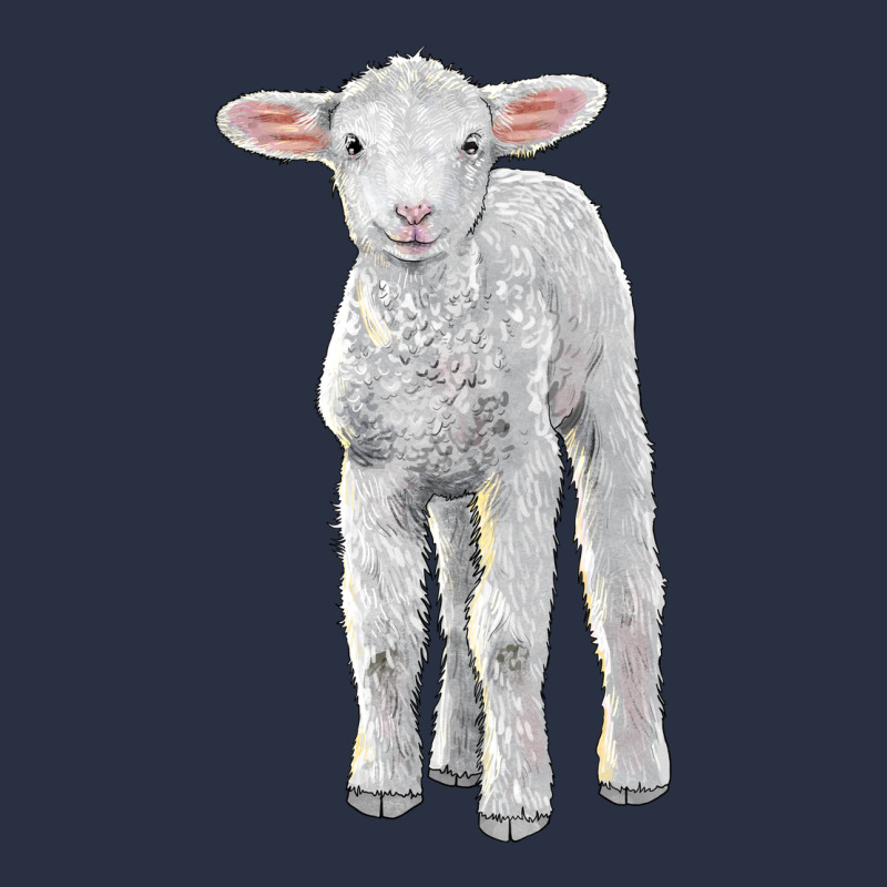 Merino Wool Baby Sheep Heavyweight Sweatshirt by LillyAllenDesigns | Teevron