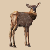 Elk Fawn Deer Heavyweight Sweatshirt | Teevron