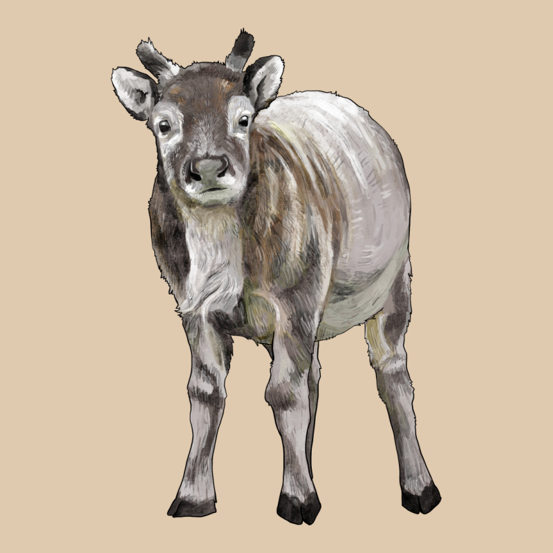 Reindeer Fawn Deer Heavyweight Sweatshirt by LillyAllenDesigns | Teevron