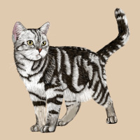 American Shorthair Cat Heavyweight Sweatshirt | Teevron