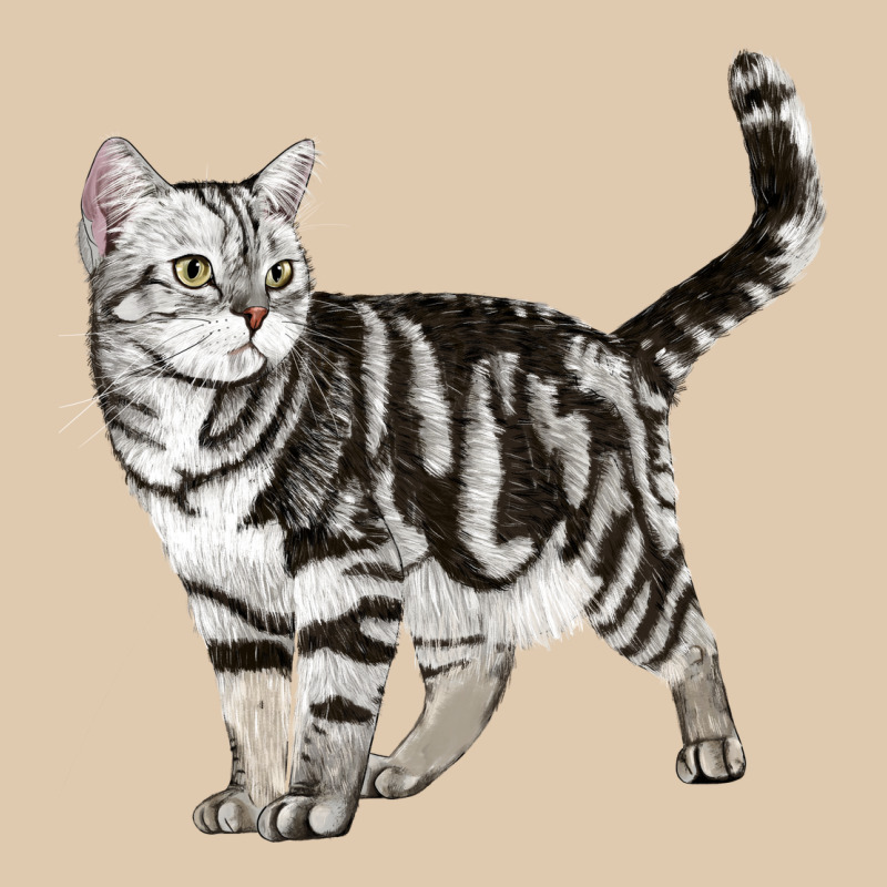 American Shorthair Cat Heavyweight Sweatshirt by LillyAllenDesigns | Teevron