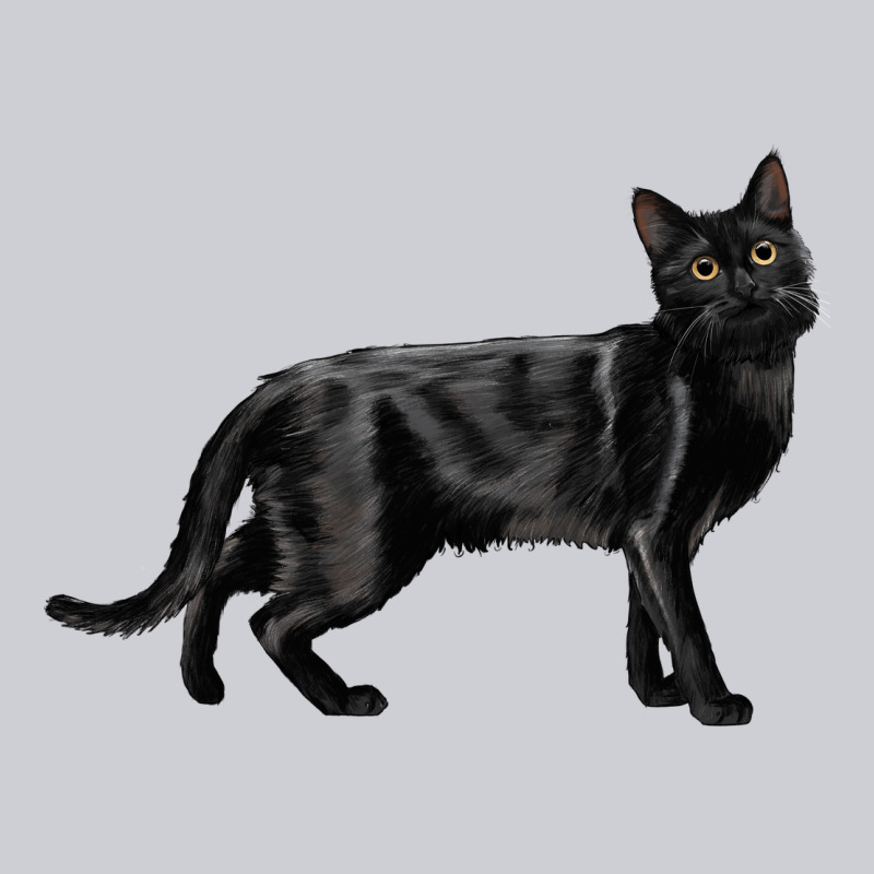 Bombay Cat Heavyweight Sweatshirt by LillyAllenDesigns | Teevron