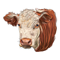 hereford cow face | Teevron