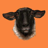 Suffolk Ewe Head Premium Sweatshirt | Teevron