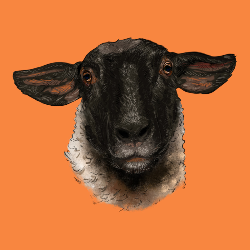 Suffolk Ewe Head Premium Sweatshirt by BarkalooDesign | Teevron