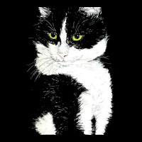 Tuxedo Cat T  Shirt Tuxedo Cat T  Shirt Premium Tee | Teevron
