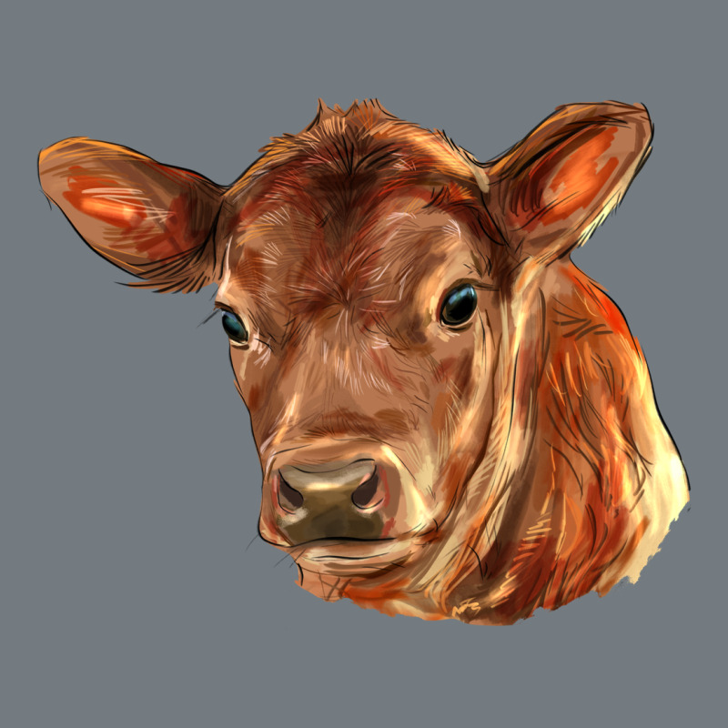 Red Angus Calf Face Heavyweight Sweatshirt by LillyAllenDesigns | Teevron