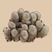Brown Flowered Cactus Heavyweight Sweatshirt | Teevron