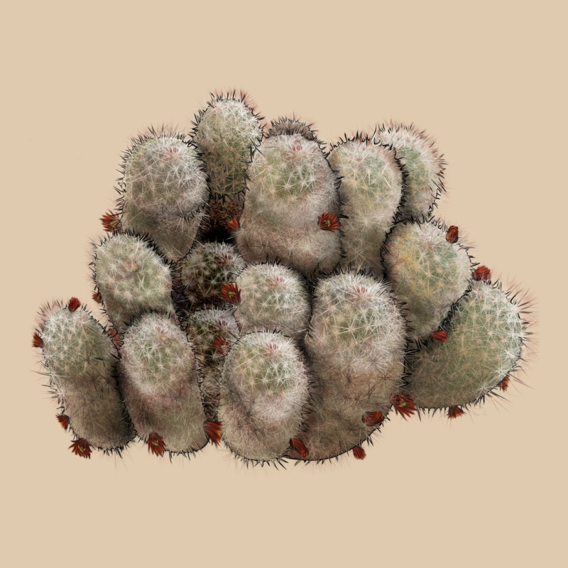 Brown Flowered Cactus Heavyweight Sweatshirt by LillyAllenDesigns | Teevron