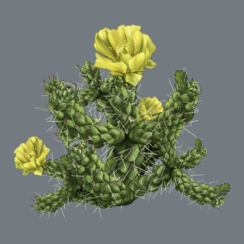 Whipple Cholla Cactus Heavyweight Sweatshirt by LillyAllenDesigns | Teevron