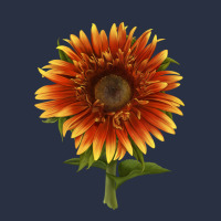 The  Sunflower Heavyweight Sweatshirt | Teevron
