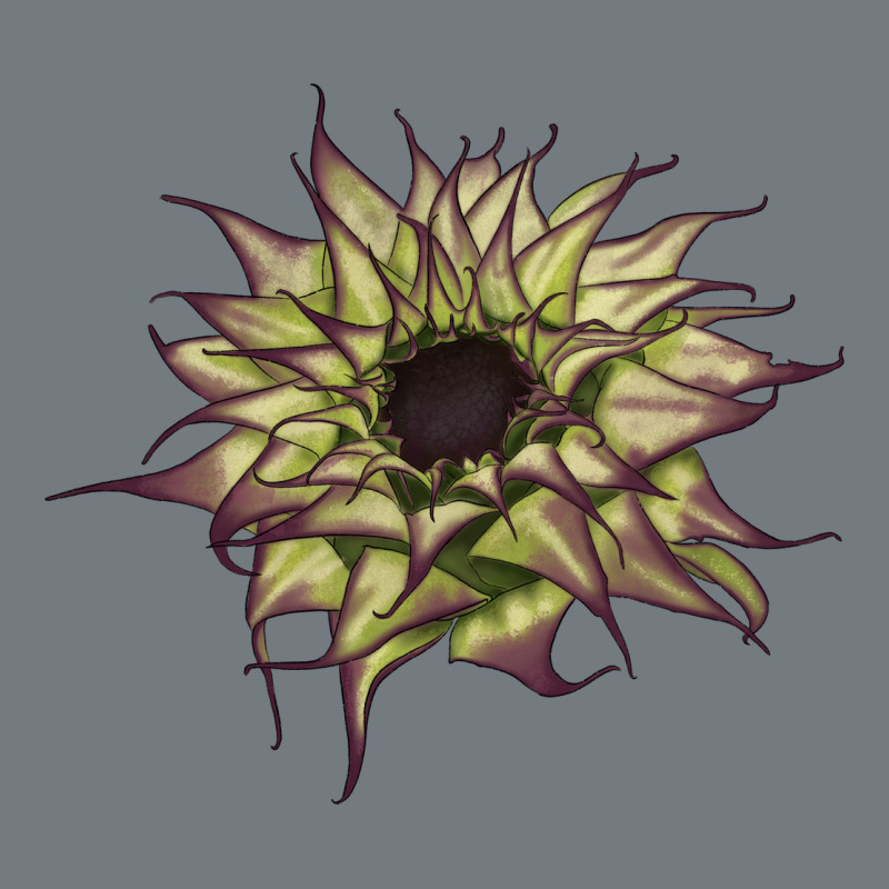 Sun   Fill Purple Sunflower Heavyweight Sweatshirt by LillyAllenDesigns | Teevron