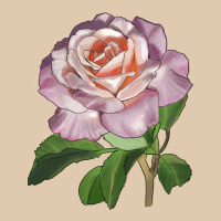 Belinda's Blush Rose Heavyweight Sweatshirt | Teevron