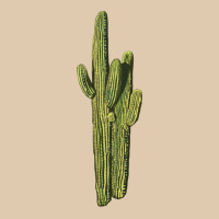 Saguaro Cactus Heavyweight Sweatshirt | Teevron