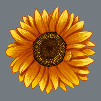 Soraya Sunflower Heavyweight Sweatshirt | Teevron
