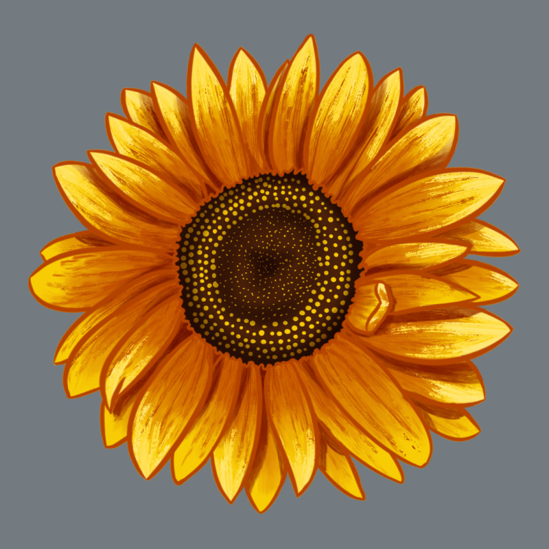Soraya Sunflower Heavyweight Sweatshirt by LillyAllenDesigns | Teevron