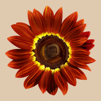 Rouge Royale Sunflower Heavyweight Sweatshirt | Teevron