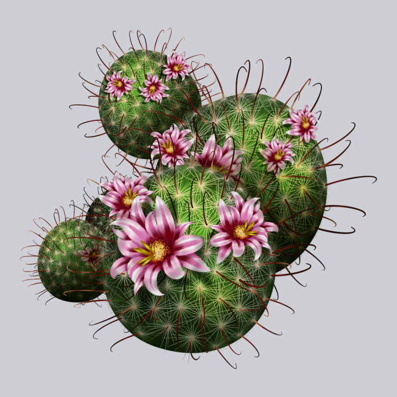 Arizona Fishhook Cacti Heavyweight Sweatshirt by LillyAllenDesigns | Teevron