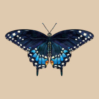 Black Swallowtail Butterfly Heavyweight Sweatshirt | Teevron