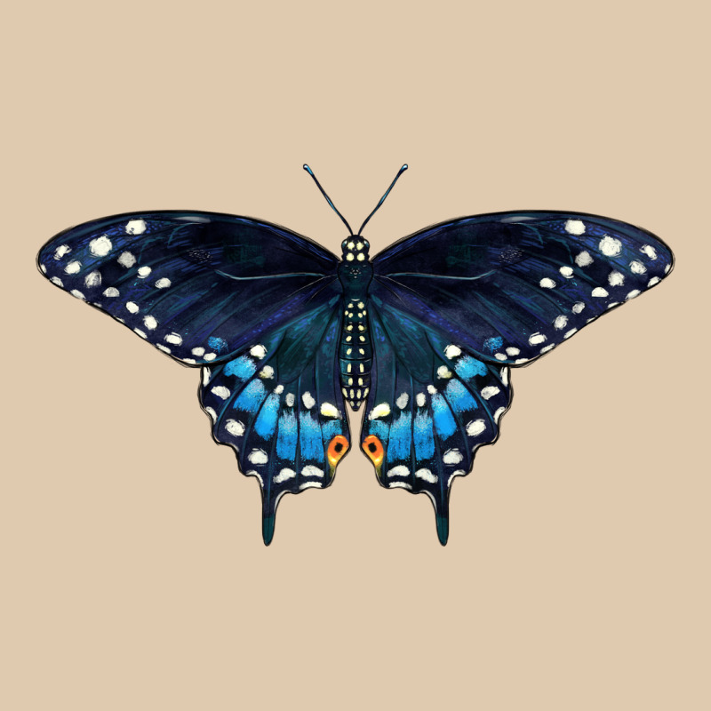 Black Swallowtail Butterfly Heavyweight Sweatshirt by LillyAllenDesigns | Teevron
