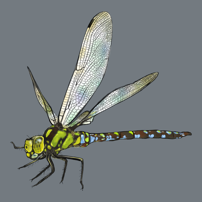 Blue And Yellow Dragonfly Heavyweight Sweatshirt by LillyAllenDesigns | Teevron