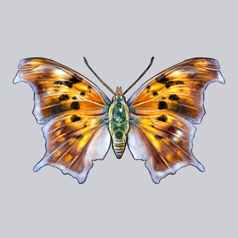 Question Mark Butterfly Heavyweight Sweatshirt by LillyAllenDesigns | Teevron