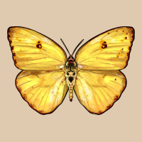 Cloudless Sulphur Butterfly Heavyweight Sweatshirt | Teevron