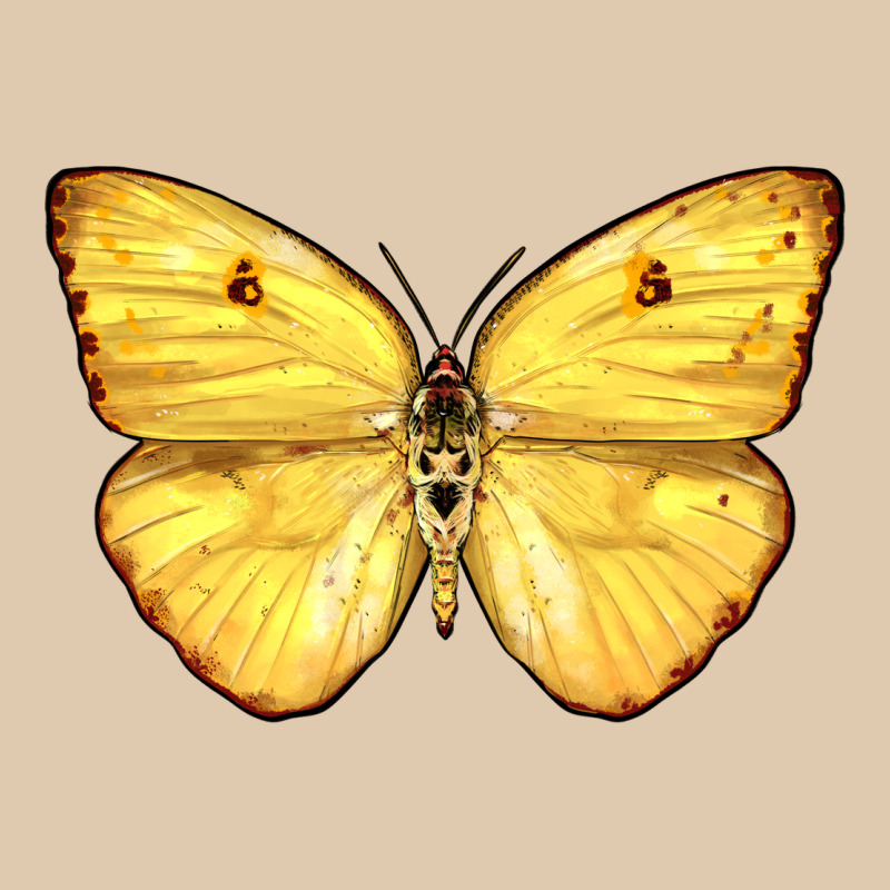 Cloudless Sulphur Butterfly Heavyweight Sweatshirt by LillyAllenDesigns | Teevron