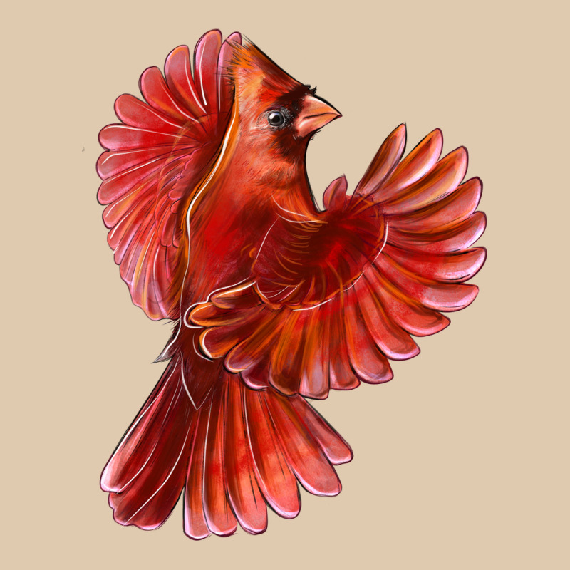 Flying Northern Cardinal Bird Heavyweight Sweatshirt by LillyAllenDesigns | Teevron