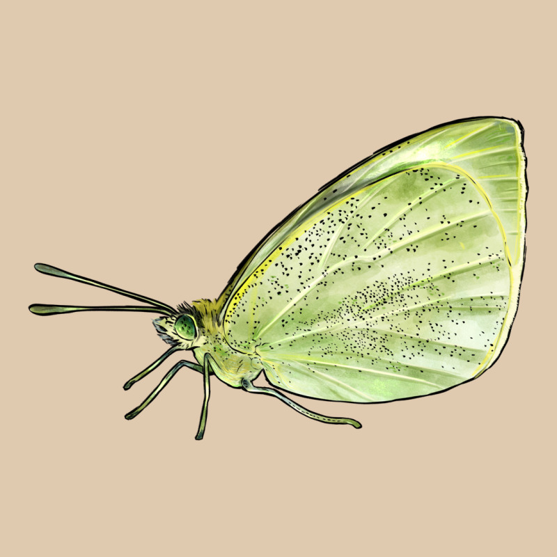 Cabbage White Butterfly Heavyweight Sweatshirt by LillyAllenDesigns | Teevron