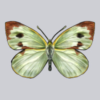 Cabbage Butterfly Heavyweight Sweatshirt | Teevron