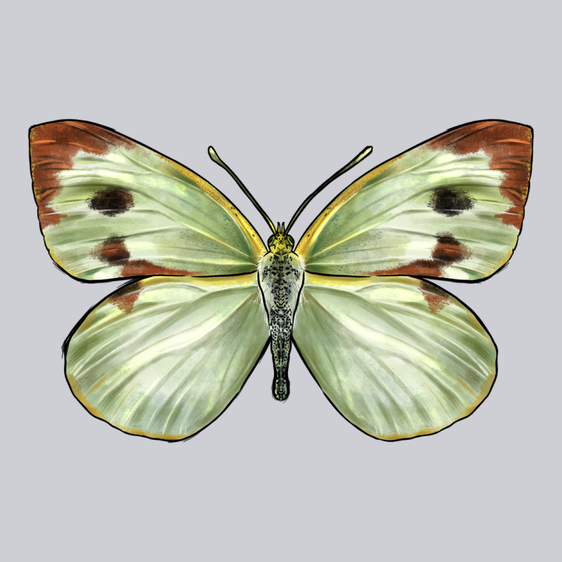 Cabbage Butterfly Heavyweight Sweatshirt by LillyAllenDesigns | Teevron