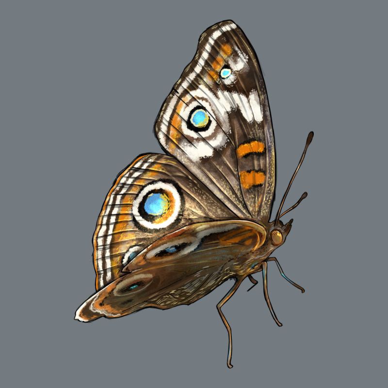 Flying Common Buckeye Butterfly Heavyweight Sweatshirt by LillyAllenDesigns | Teevron
