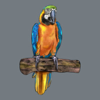 Blue Throated Macaw Heavyweight Sweatshirt | Teevron