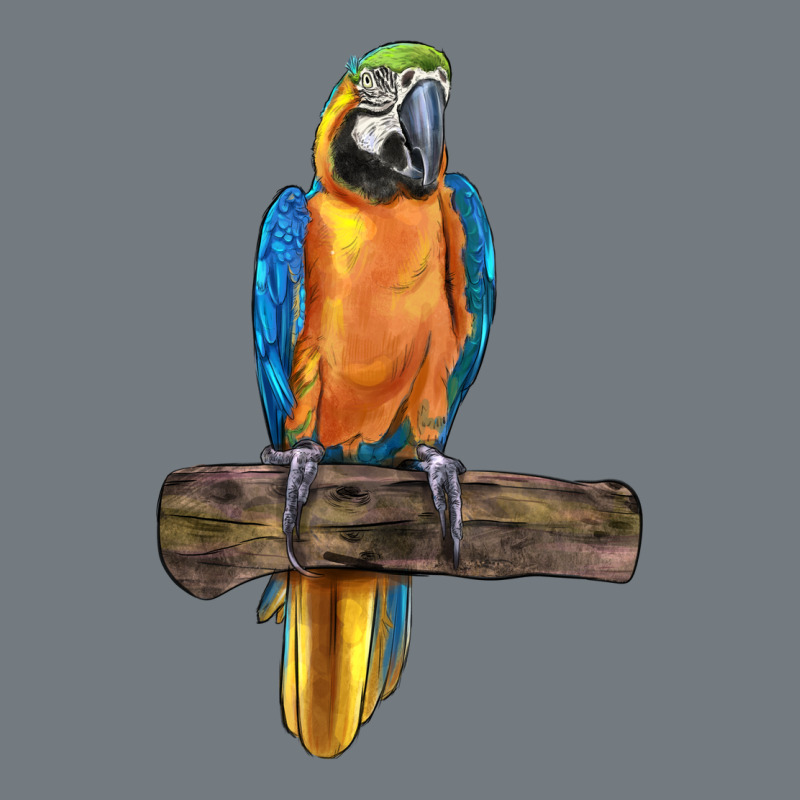Blue Throated Macaw Heavyweight Sweatshirt by LillyAllenDesigns | Teevron