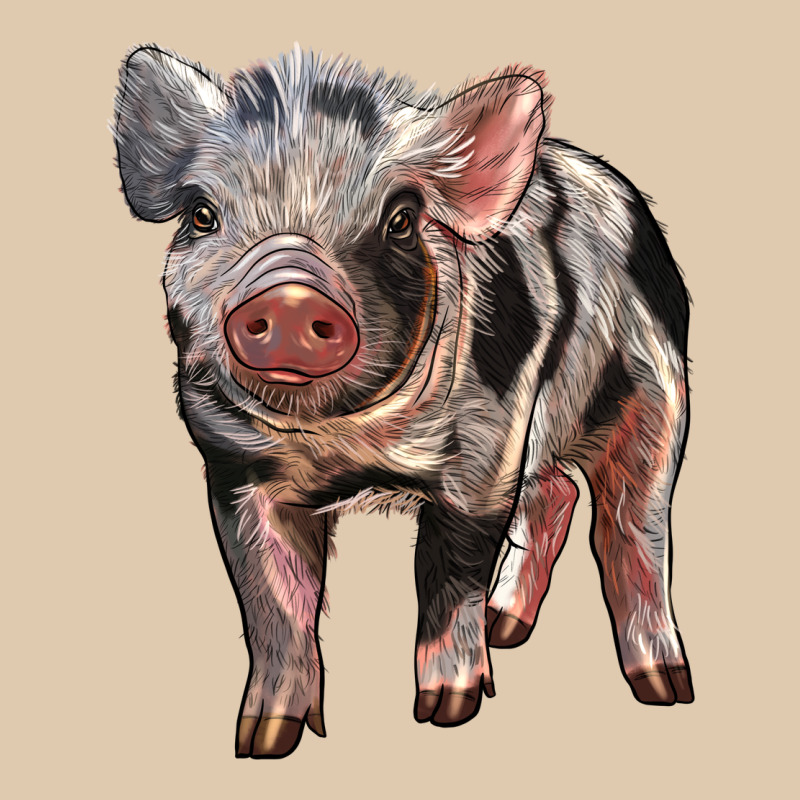 Baby Spotted Pig Heavyweight Sweatshirt by LillyAllenDesigns | Teevron