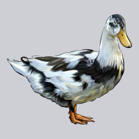 Ancona Duck Heavyweight Sweatshirt | Teevron