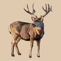 Mule Buck Deer Heavyweight Sweatshirt | Teevron