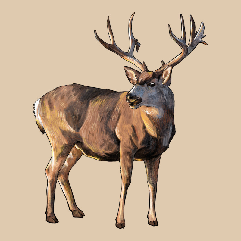 Mule Buck Deer Heavyweight Sweatshirt by LillyAllenDesigns | Teevron
