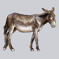 American Mammoth Jackstock Donkey Heavyweight Sweatshirt | Teevron
