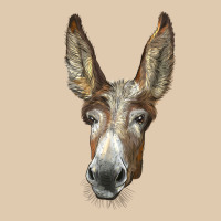 American Mammoth Jackstock Donkey  Face Heavyweight Sweatshirt | Teevron