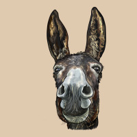 Donkey  Face Heavyweight Sweatshirt | Teevron
