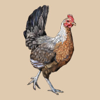 American Game Chicken Heavyweight Sweatshirt | Teevron